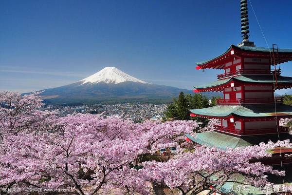 日本的国花是什么花_https://www.86362.com_花卉_第1张