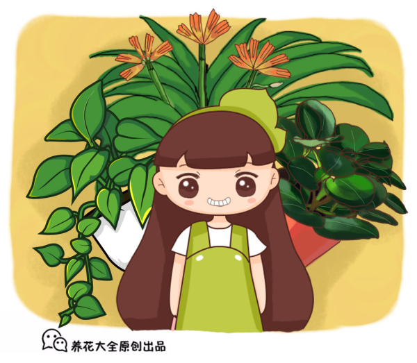 滴水观音花长什么样_https://www.86362.com_花卉_第1张