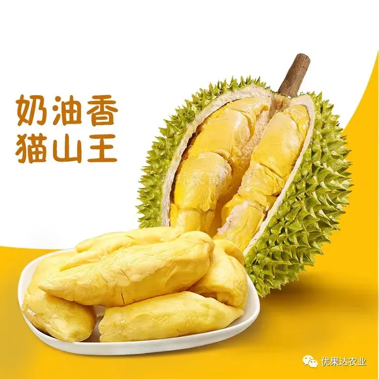 种植榴莲需要什么条件_https://www.86362.com_花卉_第3张