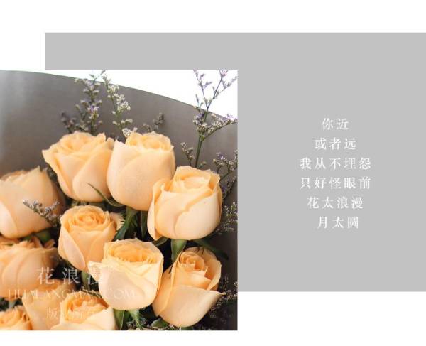 香槟玫瑰代表友谊吗_https://www.86362.com_花语_第3张