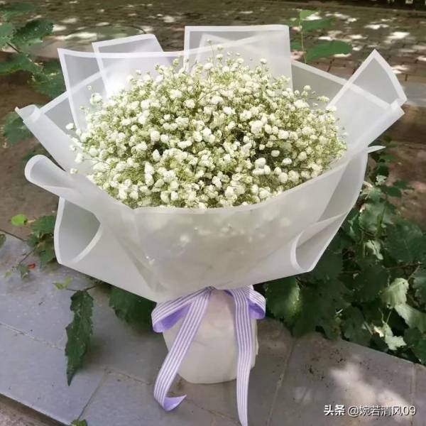 满天星花语是什么意思_https://www.86362.com_花语_第1张