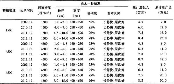 小叶榄仁树苗如何培育