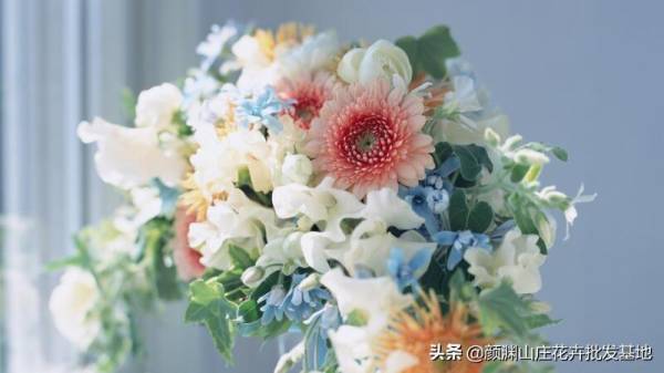 新手怎么学插花_https://www.86362.com_花卉_第1张