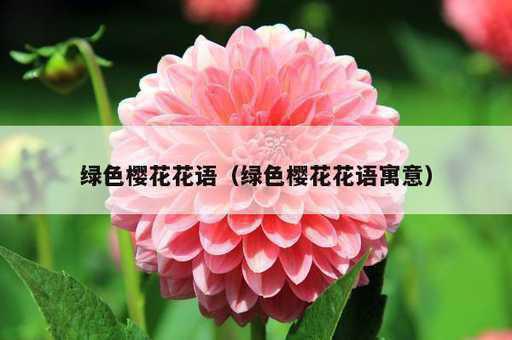 绿色樱花花语？绿色樱花花语寓意_https://www.86362.com_资讯_第1张