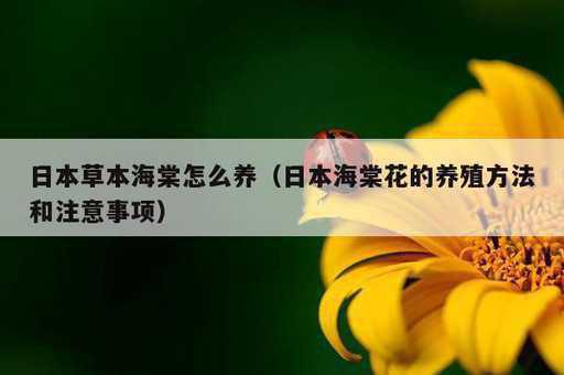 日本草本海棠怎么养？日本海棠花的养殖方法和注意事项_https://www.86362.com_资讯_第1张