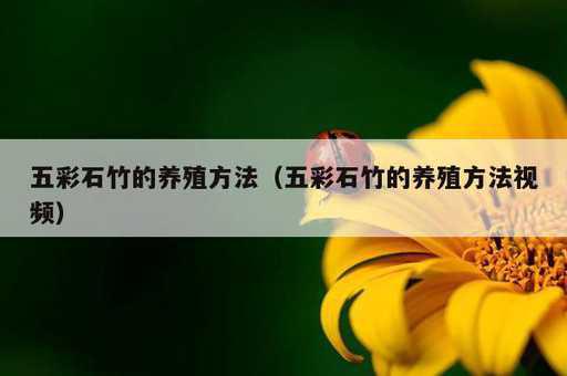 五彩石竹的养殖方法？五彩石竹的养殖方法视频_https://www.86362.com_资讯_第1张