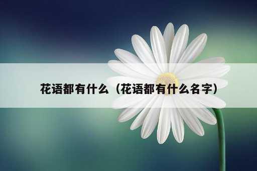 花语都有什么？花语都有什么名字_https://www.86362.com_资讯_第1张