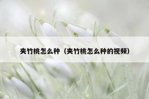 夹竹桃怎么种？夹竹桃怎么种的视频_https://www.86362.com_资讯_第1张