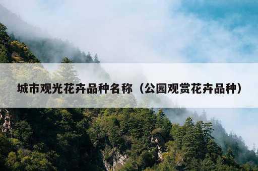 城市观光花卉品种名称？公园观赏花卉品种_https://www.86362.com_资讯_第1张