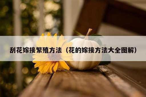 刮花嫁接繁殖方法？花的嫁接方法大全图解