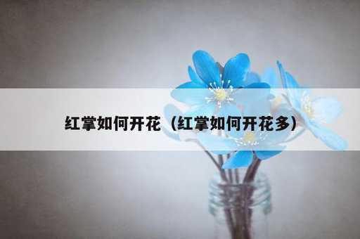 红掌如何开花？红掌如何开花多_https://www.86362.com_资讯_第1张