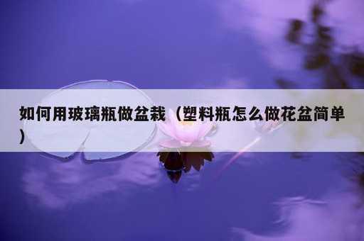 如何用玻璃瓶做盆栽？塑料瓶怎么做花盆简单_https://www.86362.com_资讯_第1张