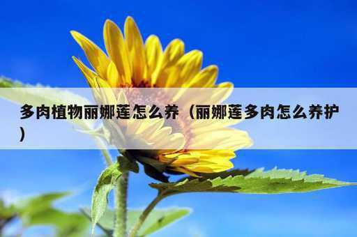 多肉植物丽娜莲怎么养？丽娜莲多肉怎么养护_https://www.86362.com_资讯_第1张