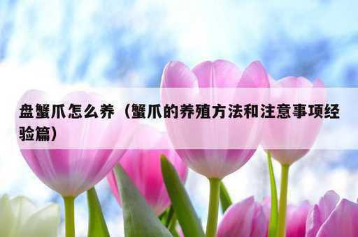 盘蟹爪怎么养？蟹爪的养殖方法和注意事项经验篇_https://www.86362.com_资讯_第1张