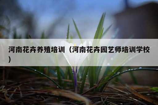 河南花卉养殖培训？河南花卉园艺师培训学校