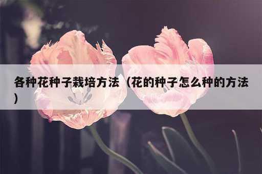 各种花种子栽培方法？花的种子怎么种的方法_https://www.86362.com_资讯_第1张