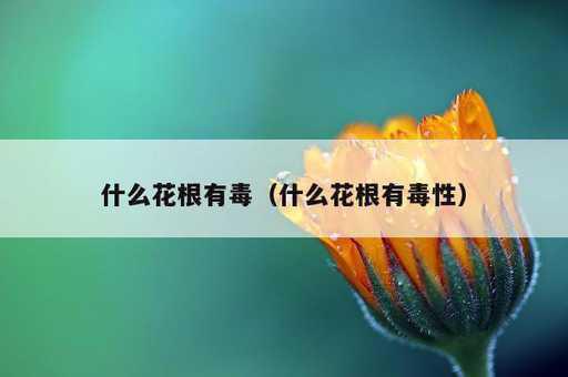 什么花根有毒？什么花根有毒性