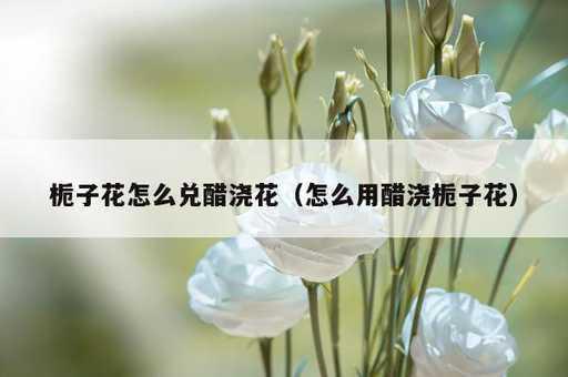 栀子花怎么兑醋浇花？怎么用醋浇栀子花_https://www.86362.com_资讯_第1张