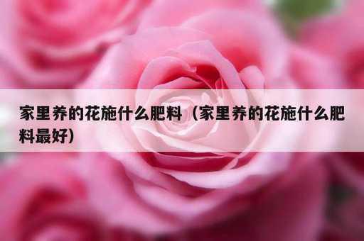 家里养的花施什么肥料？家里养的花施什么肥料最好_https://www.86362.com_资讯_第1张