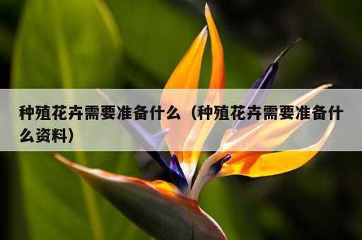 种殖花卉需要准备什么？种殖花卉需要准备什么资料