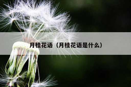 月桂花语？月桂花语是什么_https://www.86362.com_资讯_第1张