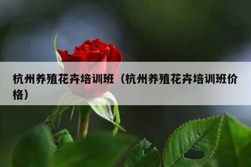 杭州养殖花卉培训班？杭州养殖花卉培训班价格_https://www.86362.com_资讯_第1张