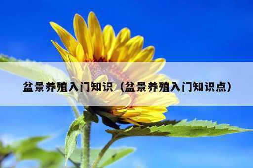 盆景养殖入门知识？盆景养殖入门知识点_https://www.86362.com_资讯_第1张