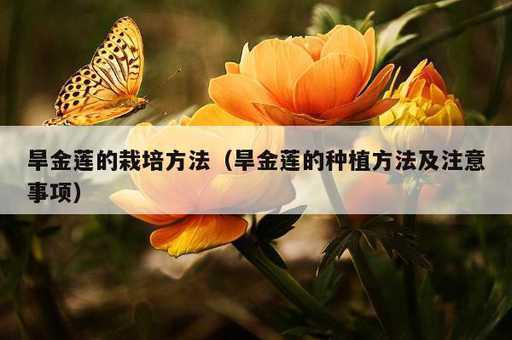 旱金莲的栽培方法？旱金莲的种植方法及注意事项_https://www.86362.com_资讯_第1张