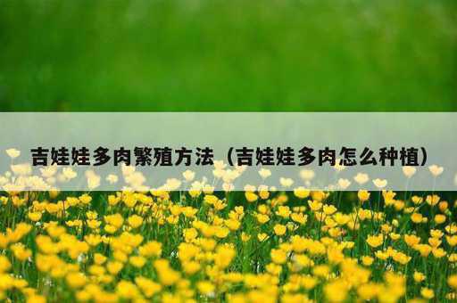 吉娃娃多肉繁殖方法？吉娃娃多肉怎么种植_https://www.86362.com_资讯_第1张