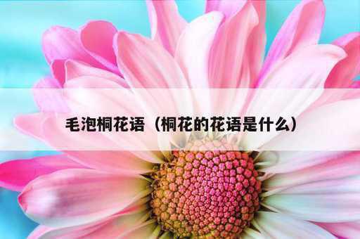 毛泡桐花语？桐花的花语是什么_https://www.86362.com_资讯_第1张