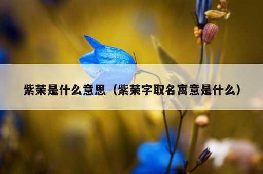 紫茉是什么意思？紫茉字取名寓意是什么_https://www.86362.com_资讯_第1张