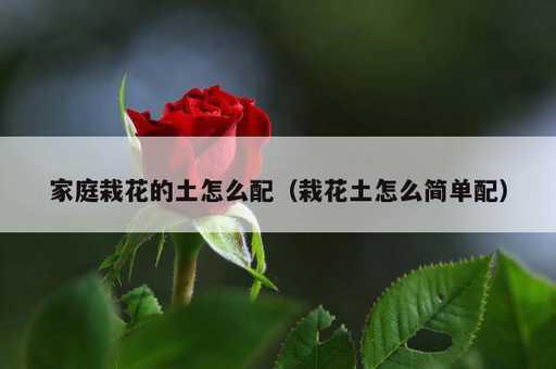 家庭栽花的土怎么配？栽花土怎么简单配_https://www.86362.com_资讯_第1张