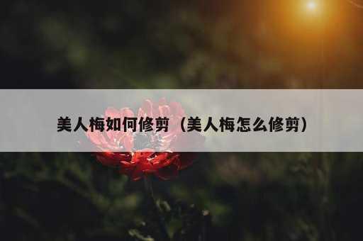 美人梅如何修剪？美人梅怎么修剪_https://www.86362.com_资讯_第1张