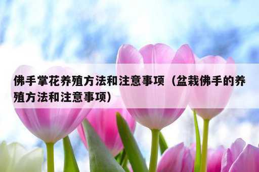 佛手掌花养殖方法和注意事项？盆栽佛手的养殖方法和注意事项