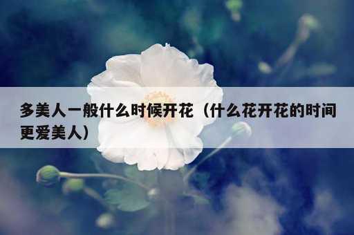 多美人一般什么时候开花？什么花开花的时间更爱美人_https://www.86362.com_资讯_第1张