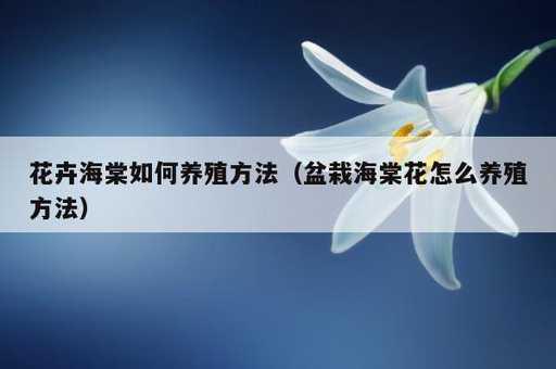 花卉海棠如何养殖方法？盆栽海棠花怎么养殖方法