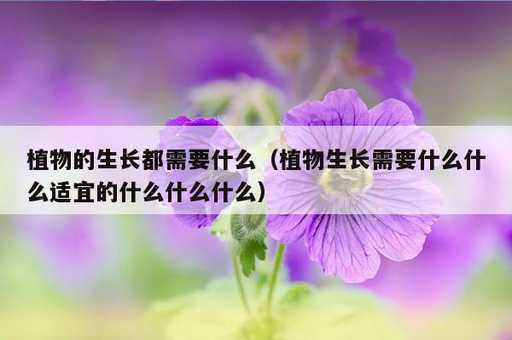 植物的生长都需要什么？植物生长需要什么什么适宜的什么什么什么_https://www.86362.com_资讯_第1张