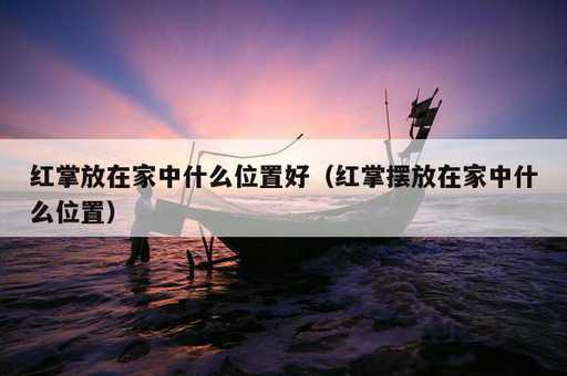 红掌放在家中什么位置好？红掌摆放在家中什么位置_https://www.86362.com_资讯_第1张