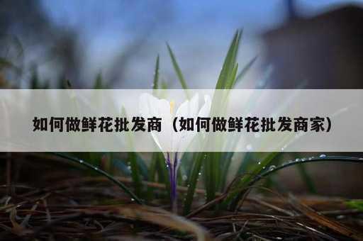 如何做鲜花批发商？如何做鲜花批发商家