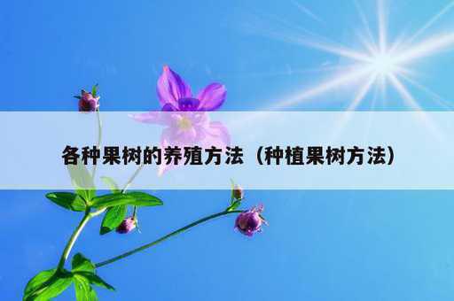 各种果树的养殖方法？种植果树方法_https://www.86362.com_资讯_第1张