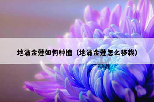 地涌金莲如何种植？地涌金莲怎么移栽_https://www.86362.com_资讯_第1张