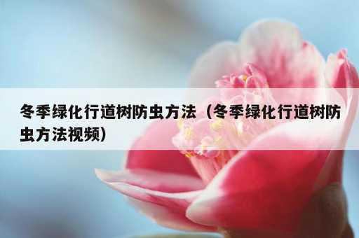 冬季绿化行道树防虫方法？冬季绿化行道树防虫方法视频_https://www.86362.com_资讯_第1张