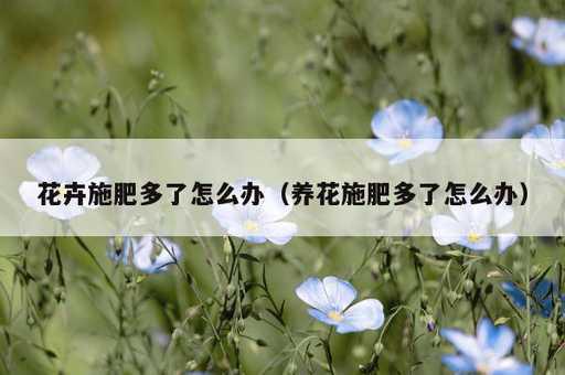 花卉施肥多了怎么办？养花施肥多了怎么办