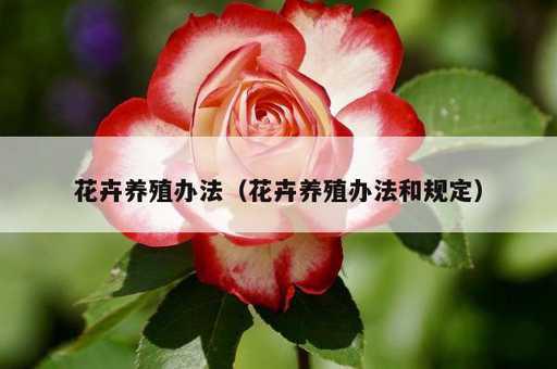 花卉养殖办法？花卉养殖办法和规定