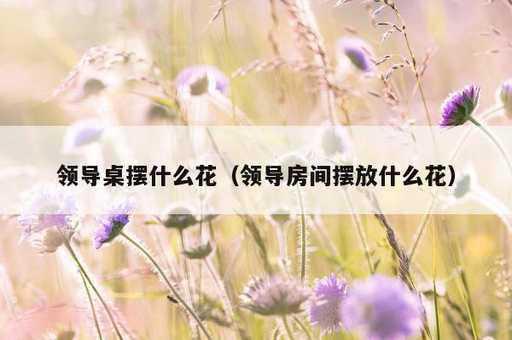 领导桌摆什么花？领导房间摆放什么花_https://www.86362.com_资讯_第1张