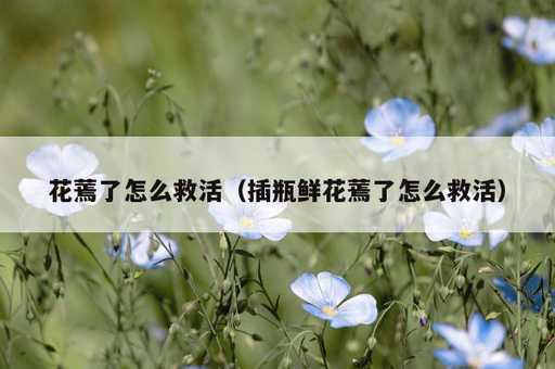 花蔫了怎么救活？插瓶鲜花蔫了怎么救活