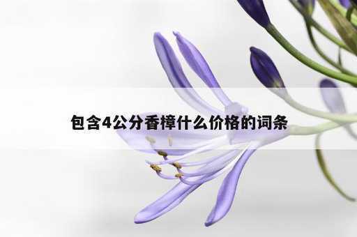 包含4公分香樟什么价格的词条_https://www.86362.com_资讯_第1张