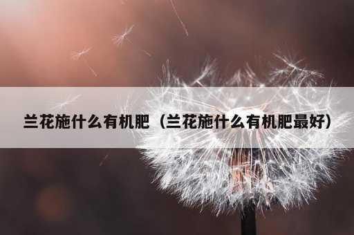 兰花施什么有机肥？兰花施什么有机肥最好