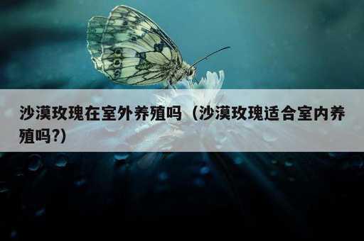 沙漠玫瑰在室外养殖吗？沙漠玫瑰适合室内养殖吗?_https://www.86362.com_资讯_第1张