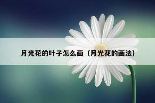 月光花的叶子怎么画？月光花的画法